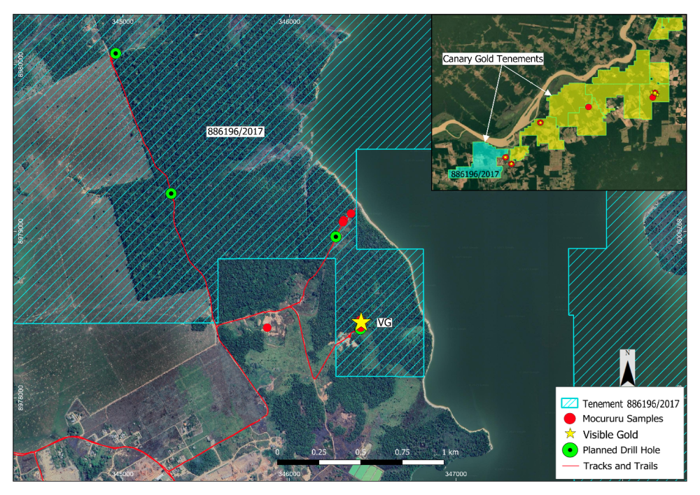 Mocururu outcrop and panned concentrate